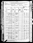 1880 US Census: Forsythe, Macon County, Illinois