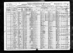 1920 US Census: Newport, Barton County, Missouri
