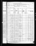 1880 US Census: Amsterdam, Montgomery County, New York
