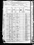 1880 US Census: Ephratah, New York