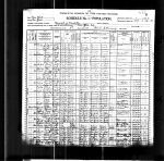 1900 US Census: Manhattan, New York City, New York
