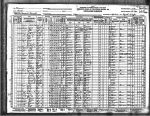 1930 US Census: Newport, Barton County, Missouri