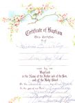 Minnie Williams Abeling's baptism record