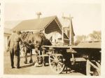 Bert with draft horses and wagon